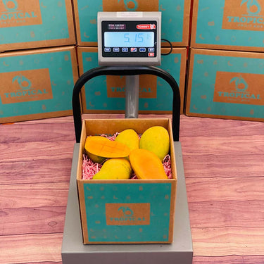 Haitian Mango Box